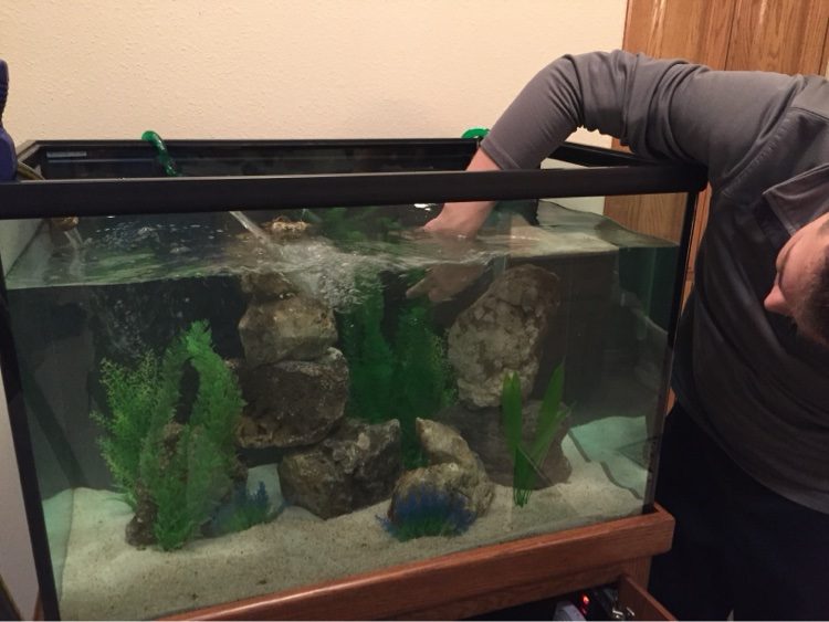 Ben Wehr performing a water change on a freshwater aquarium