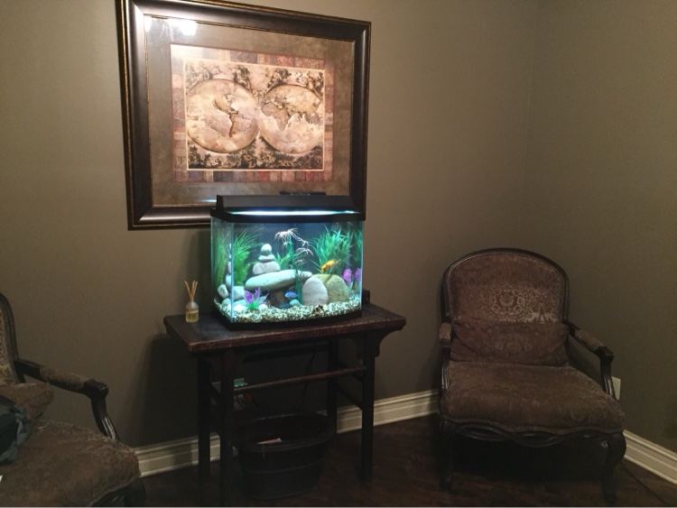 Small aquarium in an office waiting room