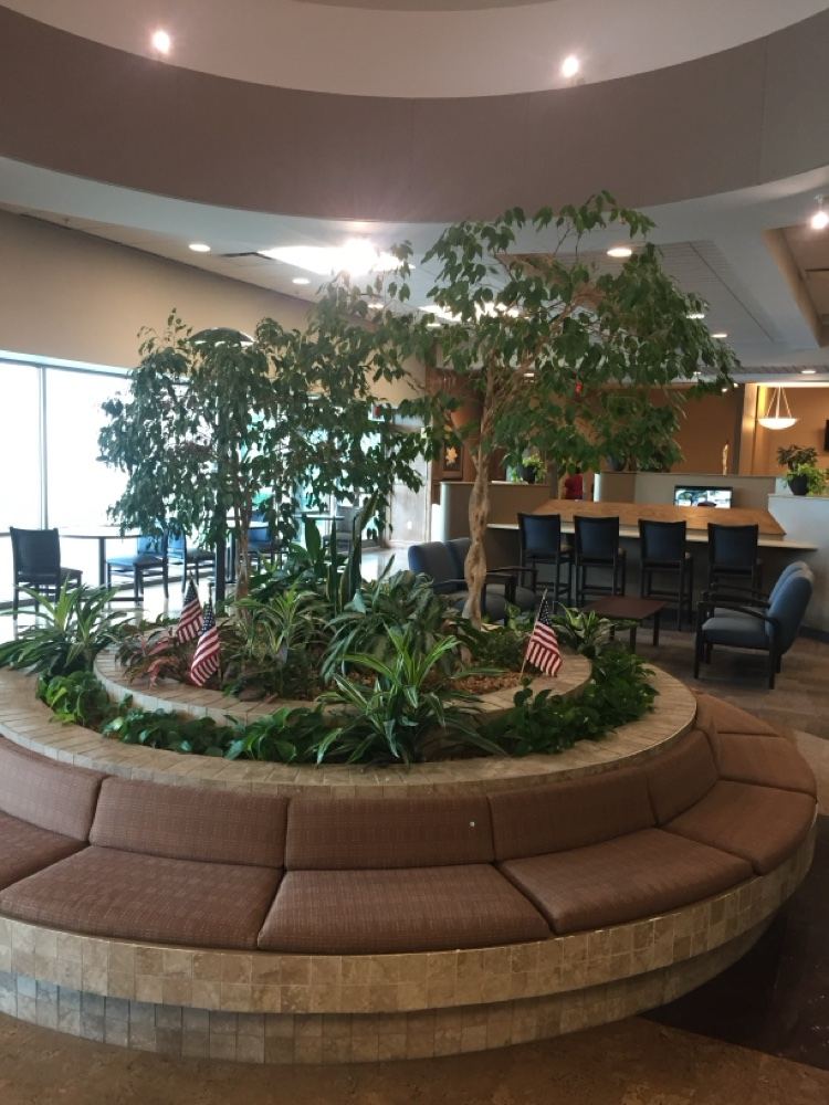 Interior tropical plantscaping in an office lobby