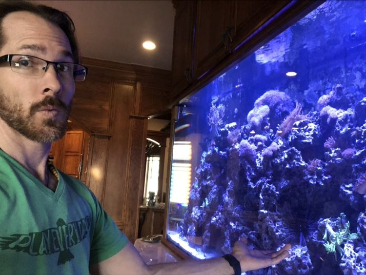 Ben Wehr with a large reef aquarium installation